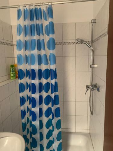 海德堡Studio Heidelberg的浴室设有蓝色和白色的淋浴帘