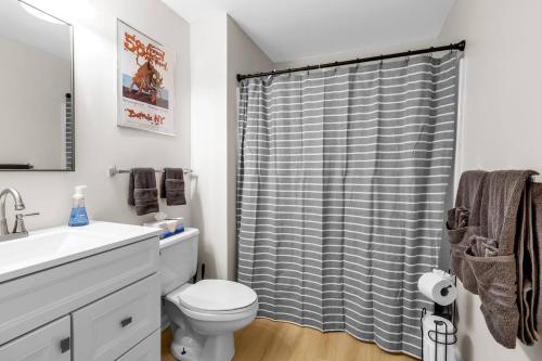 布法罗Downtown & Upscale的一间带卫生间和淋浴帘的浴室