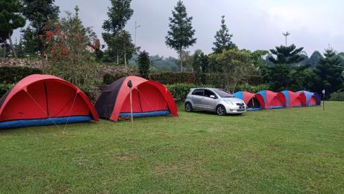 Camp Bukit Biru Kalimantan的田野里一排帐篷,有车