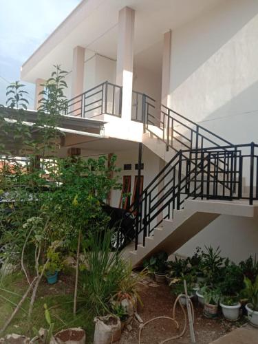 纳闽巴霍Sibento Komodo Homestay的一座有楼梯和一些植物的建筑