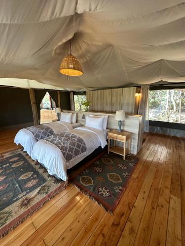 纳纽基Ole Samara guest suites的帐篷内一间卧室,配有一张床