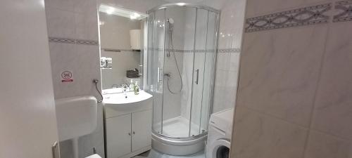 奥西耶克Apartman MINNA2, free parking的带淋浴、卫生间和盥洗盆的浴室