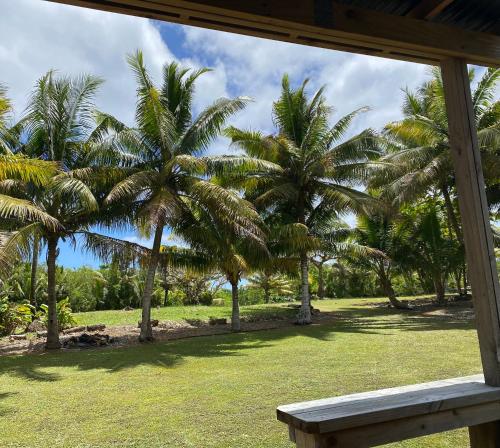 阿洛菲David's Fale, Alofi, Niue的棕榈树和木板凳的公园