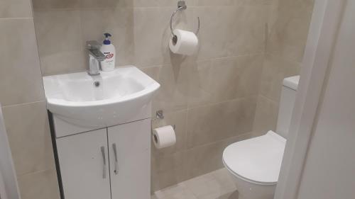 伦敦Luxury studio flat的浴室配有白色水槽和卫生间。