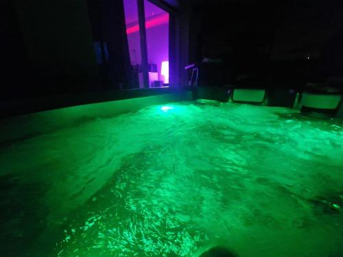 加龙河畔波泰Studio naturiste jacuzzi的绿色和紫色的海水游泳池