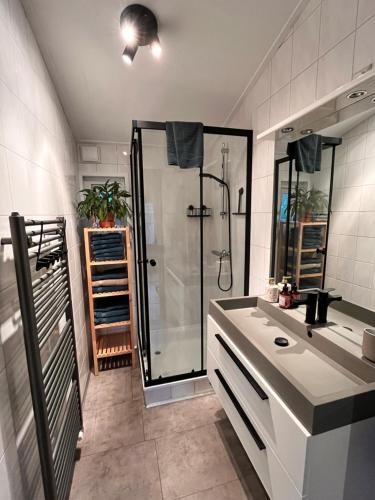 福尔特赫伊曾Het Verwende Nest met privé Hottub & tuin的带淋浴和盥洗盆的浴室