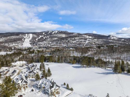 蒙特朗布朗Hilton Grand Vacations Club Tremblant Canada的雪地中滑雪胜地的空中景观