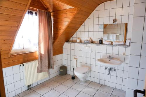 WeilerbachHotel zur Schlemmerscheune的一间带卫生间和水槽的浴室