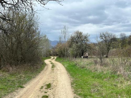 卡赞勒克Къмпинг Частен Двор的两匹马场中间的土路