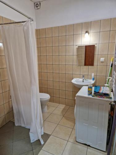 切哈努夫SAWAGO Mieszkania blisko centrum的带淋浴帘和卫生间的浴室