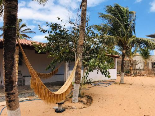 杰里科科拉Hostel Jericoacoariano的两棵棕榈树之间在房子前面的吊床
