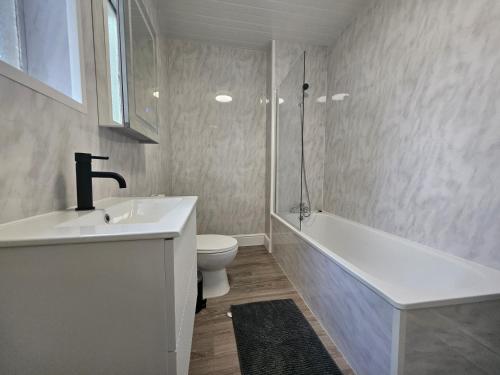 伦敦Battersea Park apartments的一间带水槽、浴缸和卫生间的浴室
