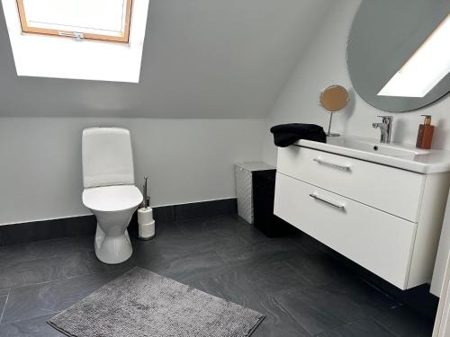 英斯约Yngsjövång的一间带卫生间、水槽和镜子的浴室