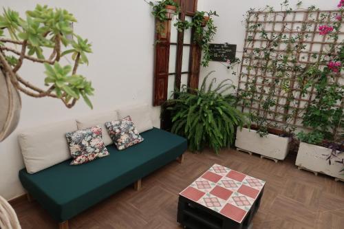 瓦伦西亚Family ARTpartment的带沙发和一些植物的客厅