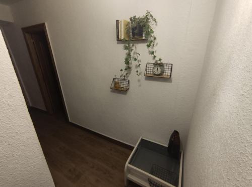 QuirogaTerriña Salvaxe的一间配有电视的客房,墙上挂有植物