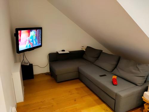 汉堡Zimmer 31qm inkl. Duschbad的带沙发和平面电视的客厅