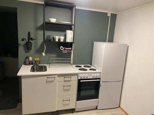 凯夫拉维克K&F Apartment的一间带冰箱和水槽的小厨房