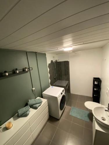 凯夫拉维克K&F Apartment的一间带卫生间和水槽的浴室
