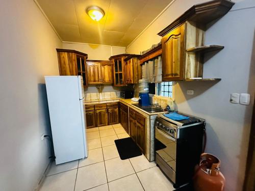 科尔特斯港Casa en Puero Cortes的厨房配有木制橱柜和冰箱。