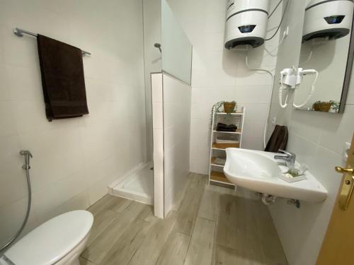 ArguineguínSUNNY DAY DELUXE 1 B的白色的浴室设有卫生间和水槽。