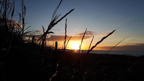 库克斯港Pension Haus Erika的海滩上高大的草地上的日落