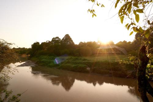 塔勒克Emboo River Camp的一条阳光反射在水面上的河流