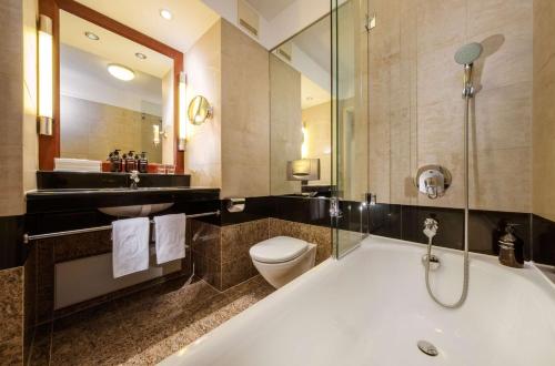 威斯巴登纳索尔霍夫酒店的带浴缸、卫生间和盥洗盆的浴室