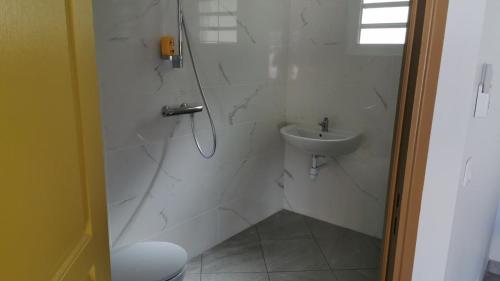 圣安娜Cap des Anses的带淋浴和盥洗盆的白色浴室