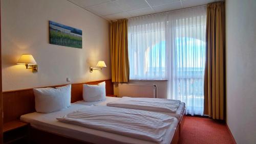 弗赖堡Hotel Rebschule的酒店客房设有一张床和一个大窗户