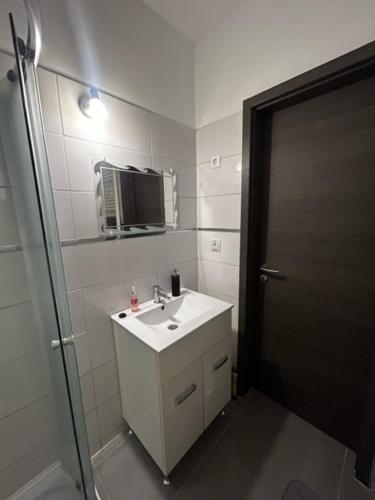 艾格扎洛克Forrás Apartman的一间带水槽、镜子和淋浴的浴室