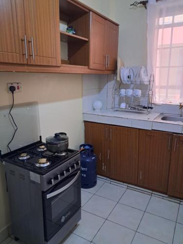马查科斯Tirisi Homes的小厨房配有炉灶和水槽