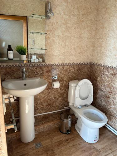 MartuniTAGANI Guest House的一间带卫生间和水槽的浴室
