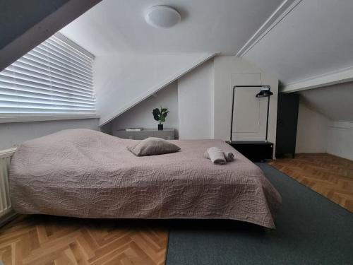 代尔夫特Gezinswoning met gratis parkeren的阁楼上的卧室配有一张大床