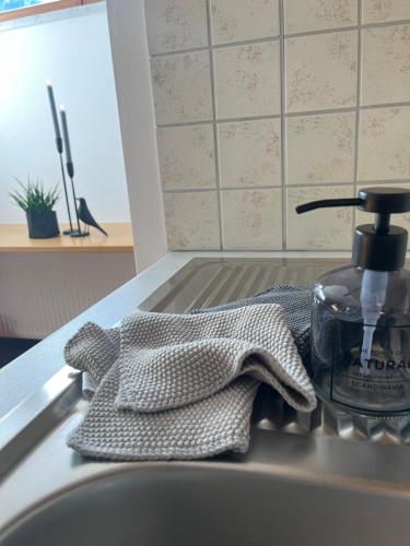 弗拉绍Appartement Stahlhammer的厨房水槽配有1瓶肥皂和1条毛巾