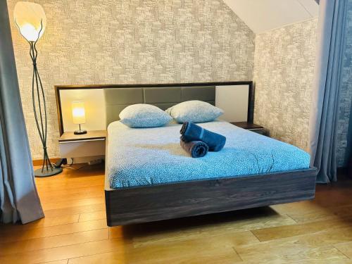 谢西Beautiful Cottage Disneyland & Shopping的一间卧室配有一张带蓝色床单和枕头的床。
