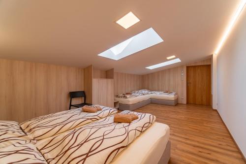 巴甫洛夫Winifera Penzion的一间卧室设有两张床和天窗