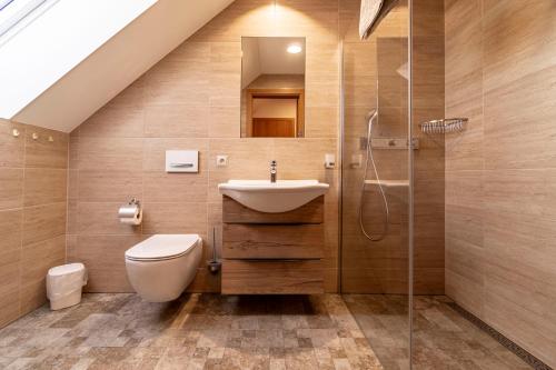巴甫洛夫Winifera Penzion的浴室配有卫生间、盥洗盆和淋浴。