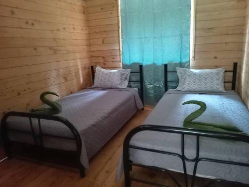ProvidenciaCabaña Paraíso Verde的木墙客房 - 带两张单人床