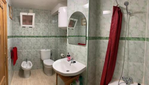 阿利坎特Miniloft en la playa的一间带水槽、卫生间和淋浴的浴室