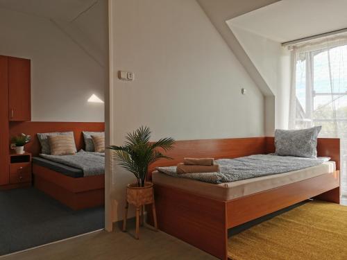多瑙新城Híd Ifjúsági Szálló的一间卧室设有两张床和盆栽植物