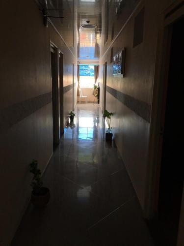 卡塔戈Hotel Indigo的建筑地板上带盆栽的走廊