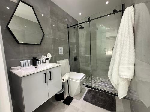 圣胡安Ocean Front Coral Luxury Apartment的带淋浴、卫生间和盥洗盆的浴室