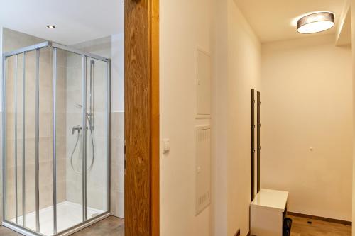 乌姆豪森Apartement Bens Auszeit Top 6的带淋浴的浴室和玻璃门