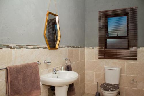 纽卡斯尔Arecavilla guesthouse的一间带水槽、卫生间和镜子的浴室