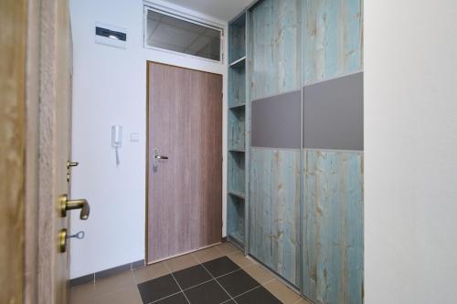 马汀Central Apartments的一间房间带木门的步入式衣柜
