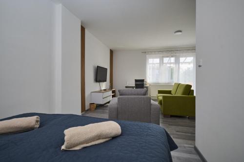 马汀Central Apartments的一间卧室设有一张床和一间客厅。