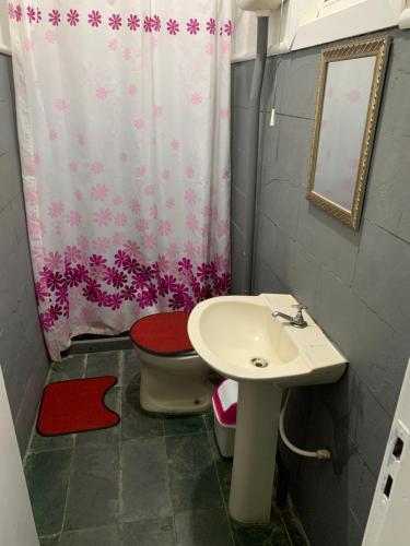 阿拉鲁阿马POUSADA YHWH (Pedro & Neth)的浴室配有水槽、卫生间和浴帘