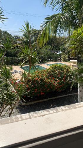 阿拉鲁阿马POUSADA YHWH (Pedro & Neth)的享有种满鲜花和棕榈树的花园美景。