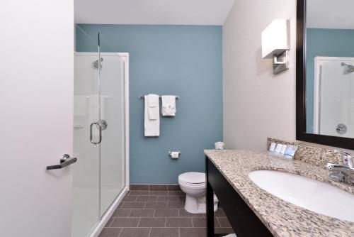 梅里迪恩司丽普套房酒店的浴室配有卫生间、盥洗盆和淋浴。