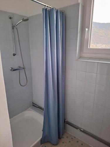 AltossiachApartment in Ossiach的一间带蓝色淋浴帘的淋浴的浴室